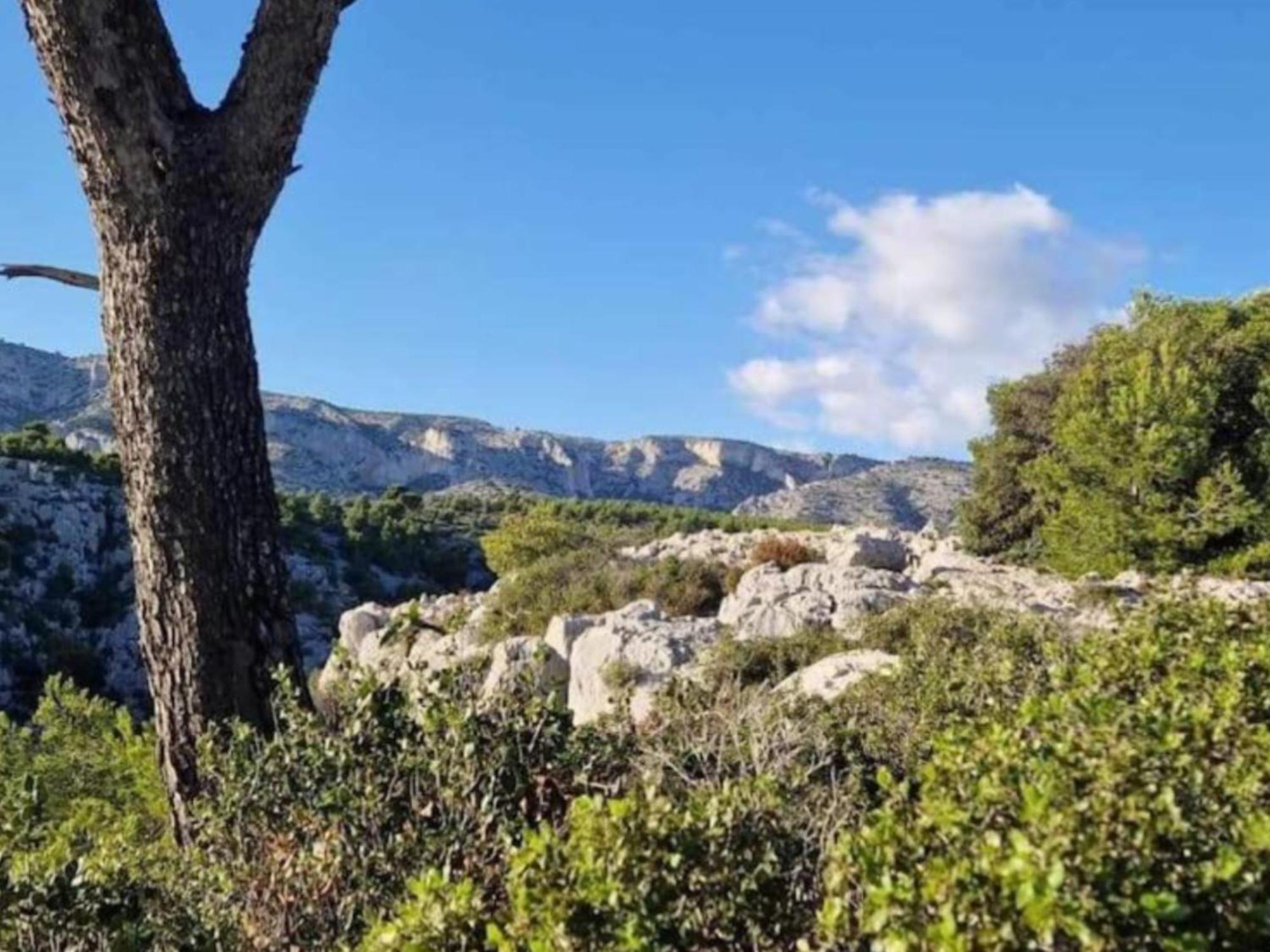Le Perchoir De Cassis Cocoon Appartement Buitenkant foto